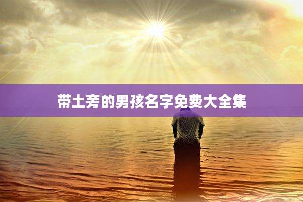 带土旁的男孩名字免费大全集
