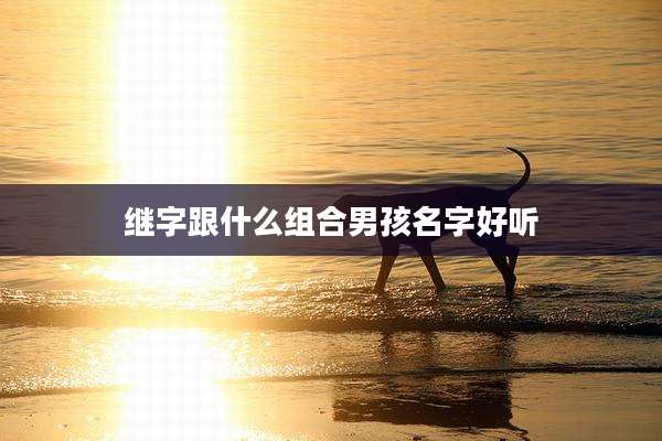 继字跟什么组合男孩名字好听