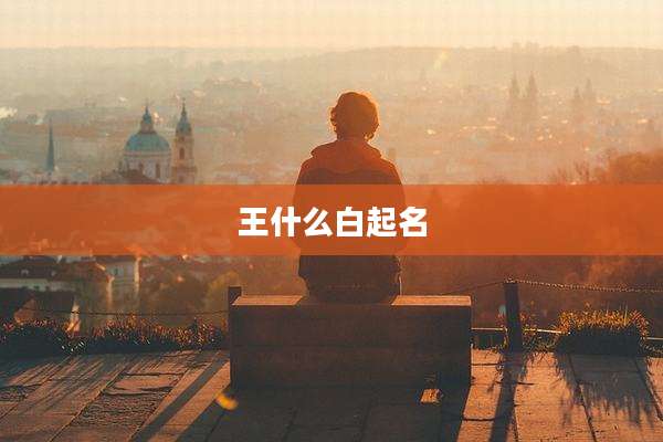 王什么白起名