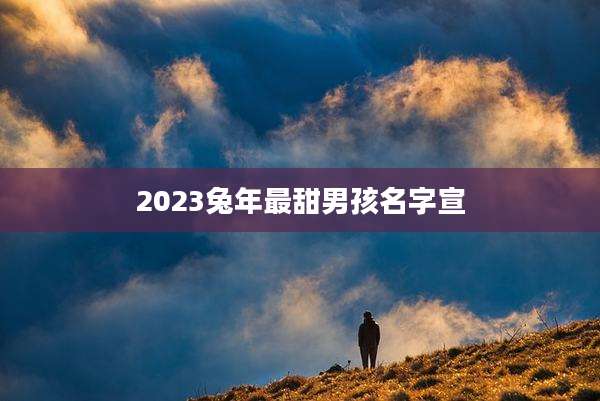 2023兔年最甜男孩名字宣