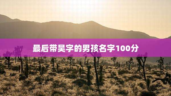 最后带昊字的男孩名字100分