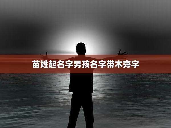 苗姓起名字男孩名字带木旁字