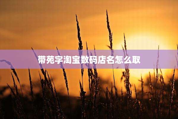 带苑字淘宝数码店名怎么取