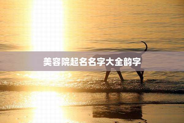 美容院起名名字大全韵字