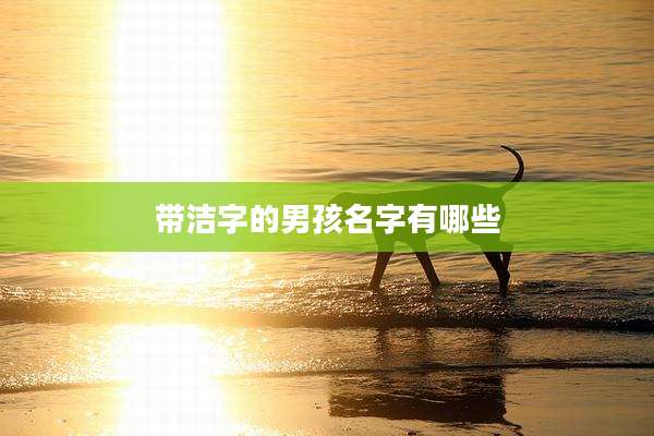 带洁字的男孩名字有哪些