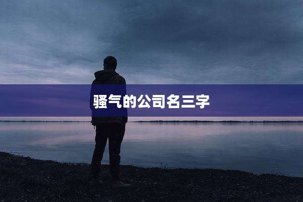 骚气的公司名三字