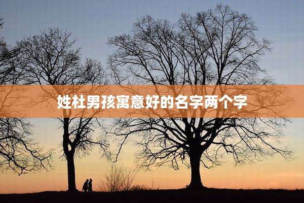 姓杜男孩寓意好的名字两个字