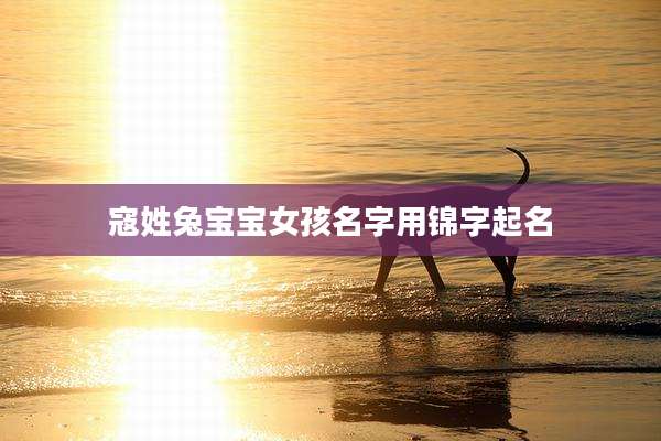 寇姓兔宝宝女孩名字用锦字起名