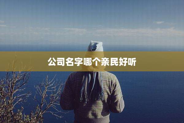 公司名字哪个亲民好听