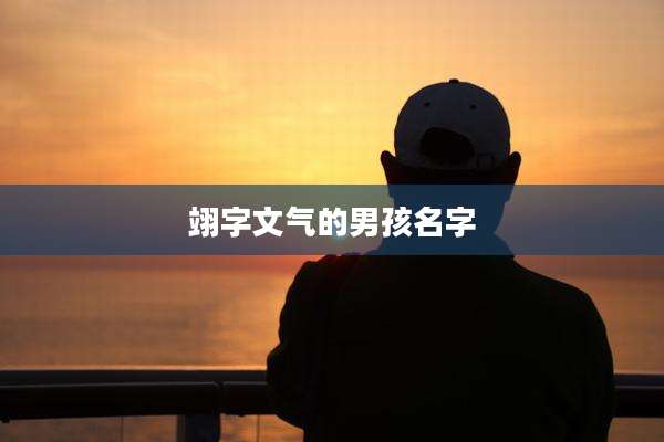 翊字文气的男孩名字