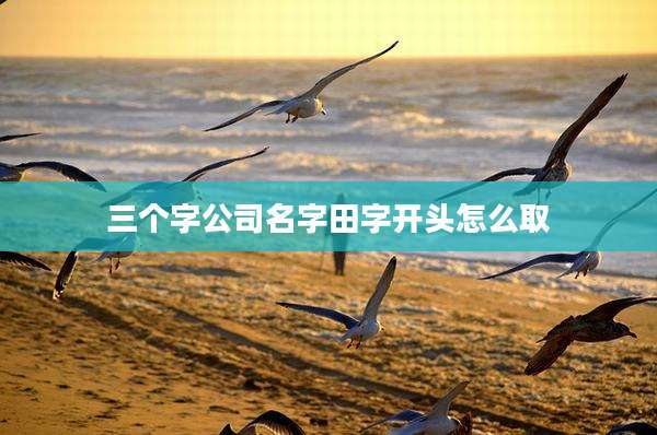 三个字公司名字田字开头怎么取
