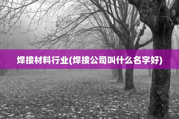 焊接材料行业(焊接公司叫什么名字好)