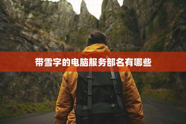 带雪字的电脑服务部名有哪些