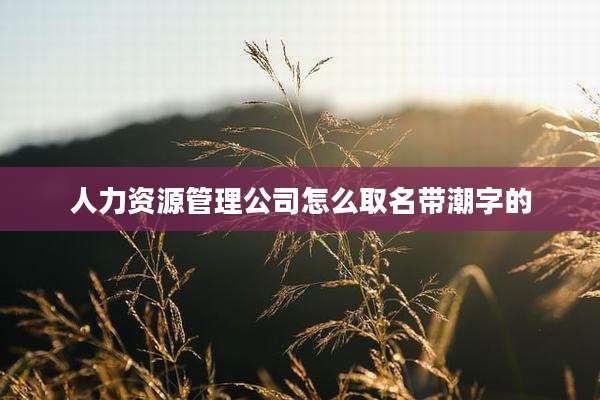 人力资源管理公司怎么取名带潮字的