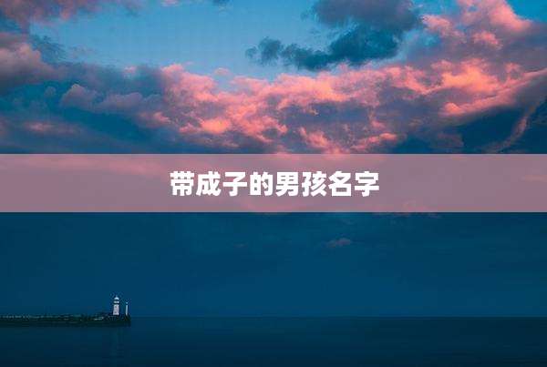 带成子的男孩名字