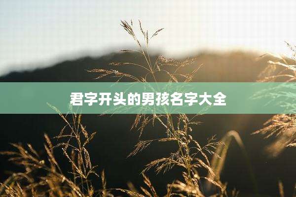 君字开头的男孩名字大全
