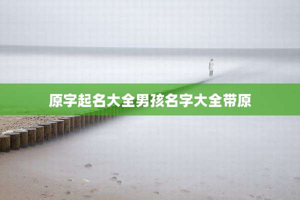 原字起名大全男孩名字大全带原