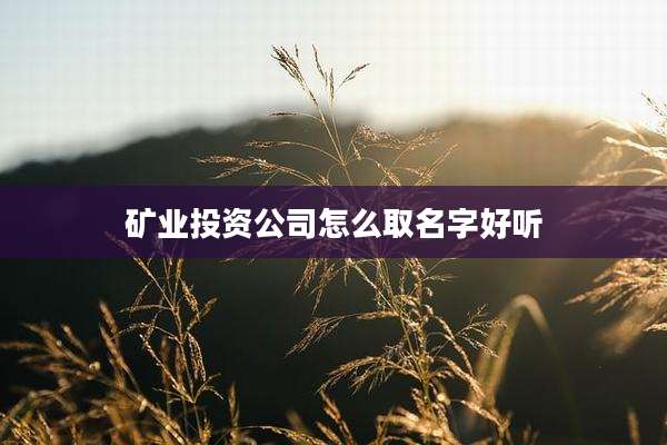 矿业投资公司怎么取名字好听