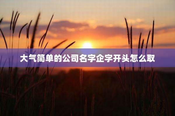 大气简单的公司名字企字开头怎么取