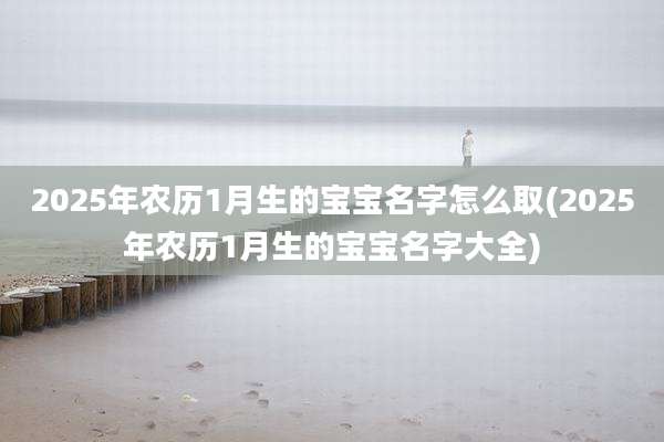 2025年农历1月生的宝宝名字怎么取(2025年农历1月生的宝宝名字大全)