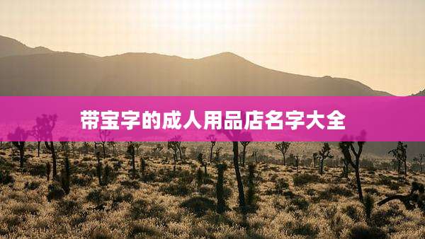 带宝字的成人用品店名字大全