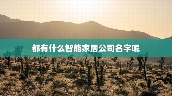 都有什么智能家居公司名字呢