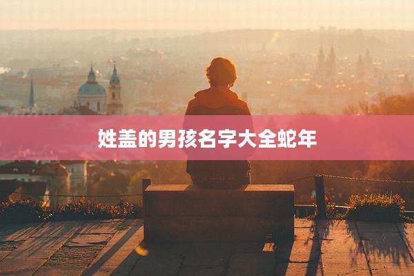 姓盖的男孩名字大全蛇年