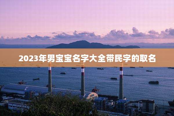 2023年男宝宝名字大全带民字的取名