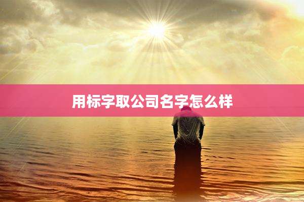 用标字取公司名字怎么样