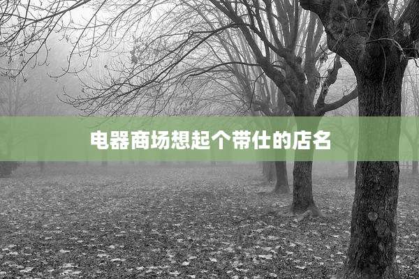 电器商场想起个带仕的店名