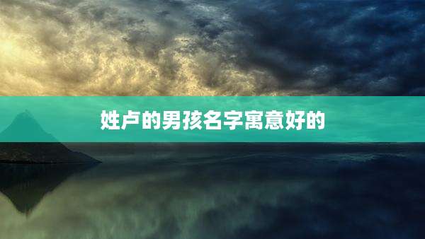 姓卢的男孩名字寓意好的
