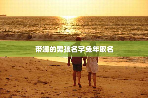 带娜的男孩名字兔年取名