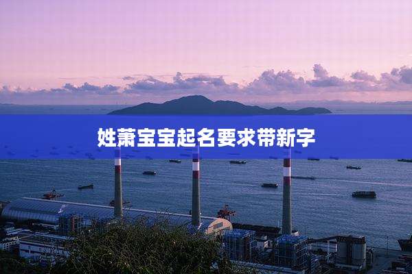 姓萧宝宝起名要求带新字