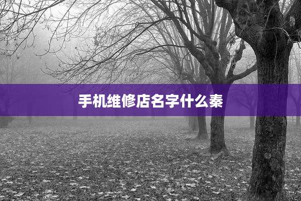 手机维修店名字什么秦
