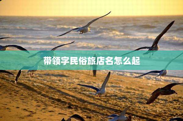 带领字民俗旅店名怎么起