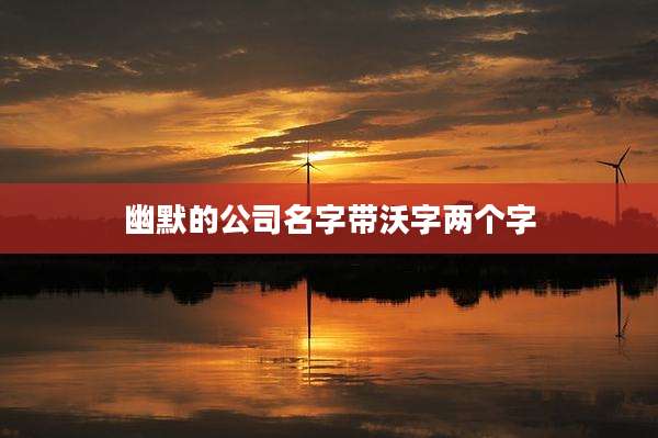 幽默的公司名字带沃字两个字