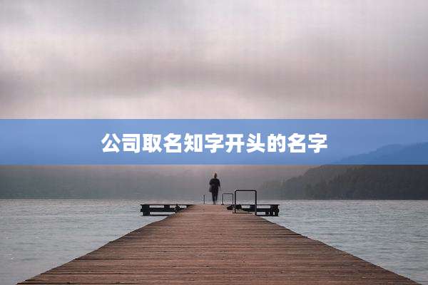 公司取名知字开头的名字