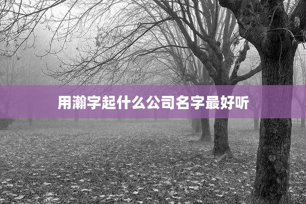 用瀚字起什么公司名字最好听
