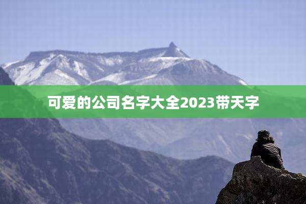 可爱的公司名字大全2023带天字