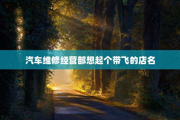 汽车维修经营部想起个带飞的店名