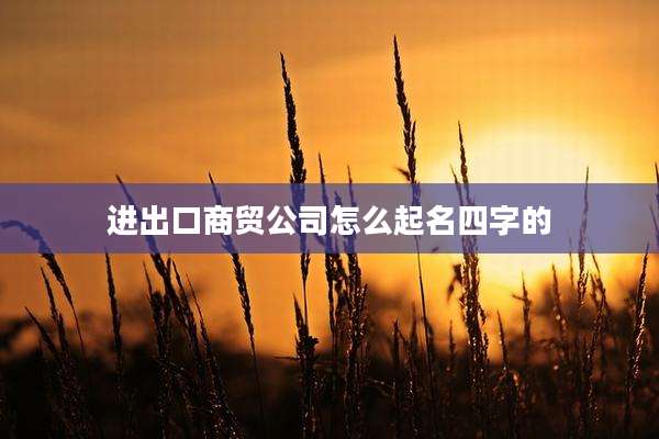 进出口商贸公司怎么起名四字的