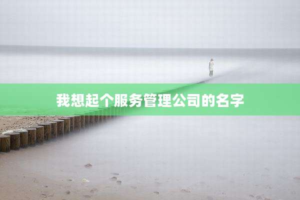 我想起个服务管理公司的名字