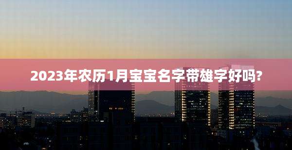 2023年农历1月宝宝名字带雄字好吗?