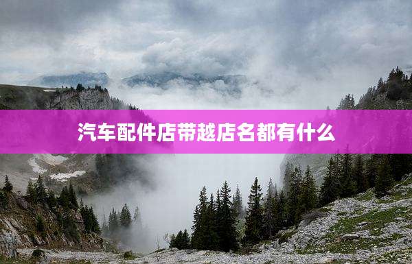 汽车配件店带越店名都有什么