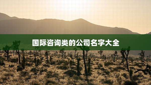 国际咨询类的公司名字大全