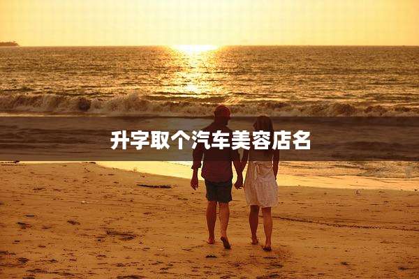 升字取个汽车美容店名