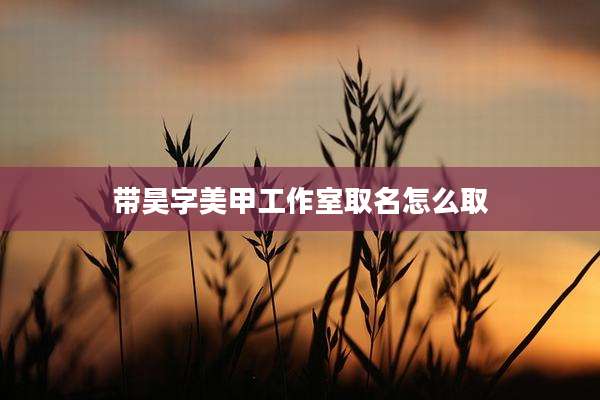 带昊字美甲工作室取名怎么取