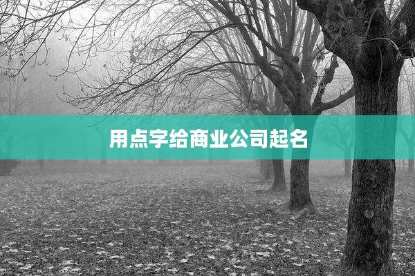 用点字给商业公司起名