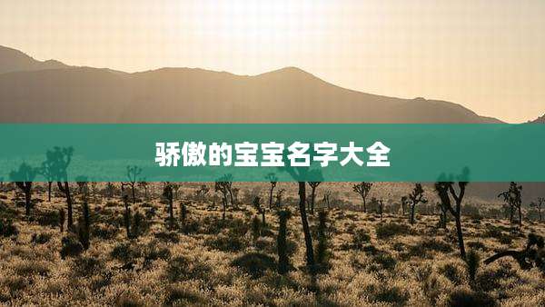骄傲的宝宝名字大全