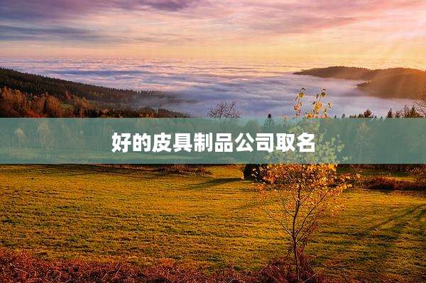 好的皮具制品公司取名